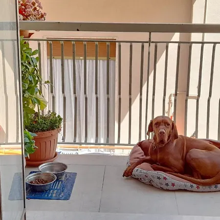 Bed & Breakfast Famigliare Arcadia Polignano Polignano a Mare